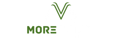MoreValue logo